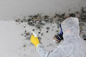 Best HVAC Mold Inspection and Cleaning  in USA